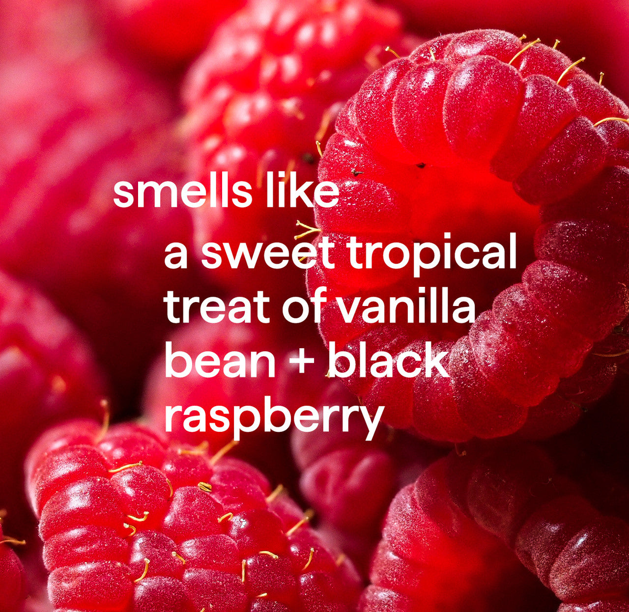 Hand_Vanilla_Rasperberry_Fragrance__75313__61033.1726062642.1280.1280_19a55df1-c362-4948-8f57-38ff79098b27.jpg